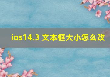 ios14.3 文本框大小怎么改